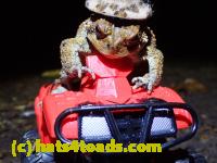 /home//u458753944/public_html/sourcegallery//McKaig Nature Center/2020-10-11/PA110708.JPG